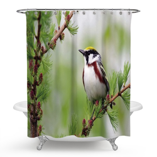 Ulticool Douchegordijn - Vogel op Tak Boom Natuur - 180 x 200 cm - met 12 ringen - Groen 