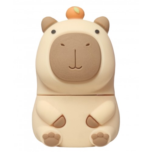Capibara Usb Stick 32 GB - Origineel Capybara Verjaardag Cadeau Idee Meisje of Jongen