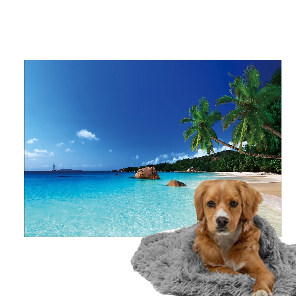 belegd broodje Oxideren Clan Ulticool - Deken Hondenmand - Hond Kat Poes - Tropisch Strand Zee Palmboom  - Fleece - Plaid op Bank - Mat Kussen -