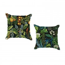 Ulticool - Buitenkussens Groen - Blauwe Druif Vogel Kikker - Sierkussens Buiten Waterbestendig - Set van 2 Kussens 45 x 45 cm Vierkant 