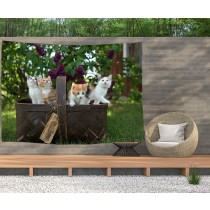 Ulticool - Poes Natuur Poezen in poezenmand - Wandkleed  Poster - 200x150 cm - Groot wandtapijt -  Tuinposter Tapestry