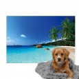 Ulticool - Deken Hondenmand - Hond Kat Poes - Tropisch Strand Zee Palmboom - Fleece - Plaid op Bank - Mat Kussen - Achterbank Auto Kofferbak  - Accessoire Dierenprint Versiering 