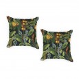 Ulticool - Buitenkussens Groen - Blauwe Druif Vogel Kikker - Sierkussens Buiten Waterbestendig - Set van 2 Kussens 45 x 45 cm Vierkant 