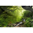 Ulticool - Regenwoud Natuur Eco Planten Waterval - Handdoek Microfiber - Sneldrogend Badlaken – voor reizen fitness gym sport 