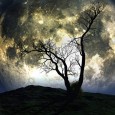 Ulticool - Natuur Volle Maan Nacht Boom - Wandkleed - 200x150 cm - Groot wandtapijt - Poster